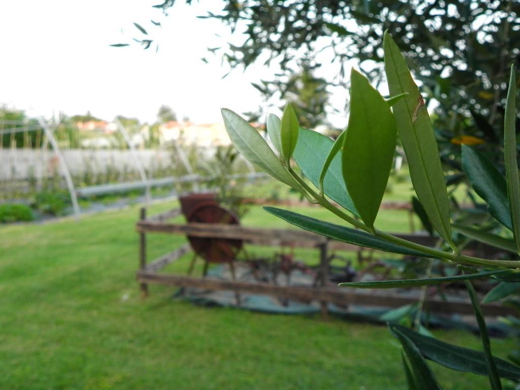 Agriturismo 30 Moniga del Garda Exteriör bild